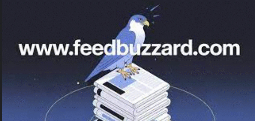 www feedbuzzard .com